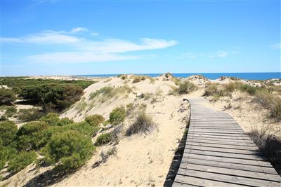 Andalusien Nationalpark Coto de Doñana